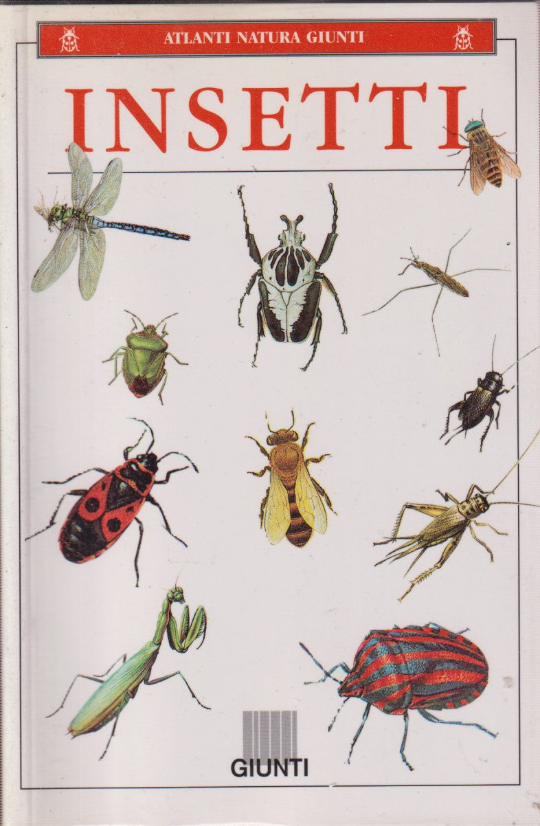 Insetti - Gabriele Pozzi - Giunti Atlanti natura - 1a ed. 1998 - ZFS113