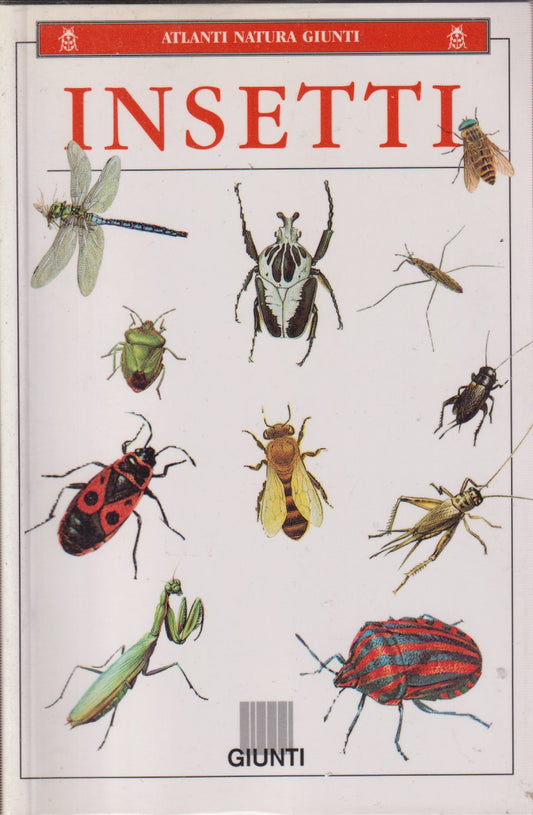 Insetti - Gabriele Pozzi - Giunti Atlanti natura - 1a ed. 1998 - ZFS113