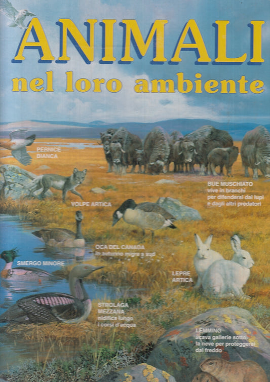 LB- ANIMALI NEL LORO AMBIENTE -- DAMI EDITORE --- 1998 - C - RGZ