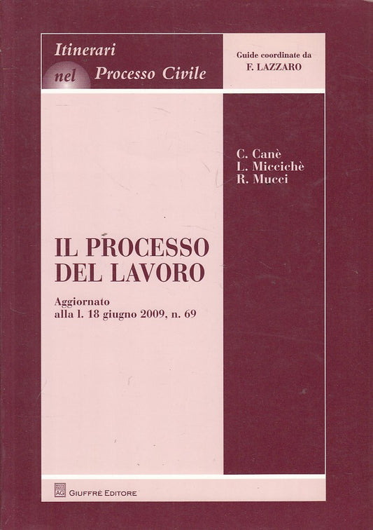 LZ- IL PROCESSO NEL LAVORO -- GIUFFRE' - PROCESSO CIVILE -- 2009 - B - YFS261