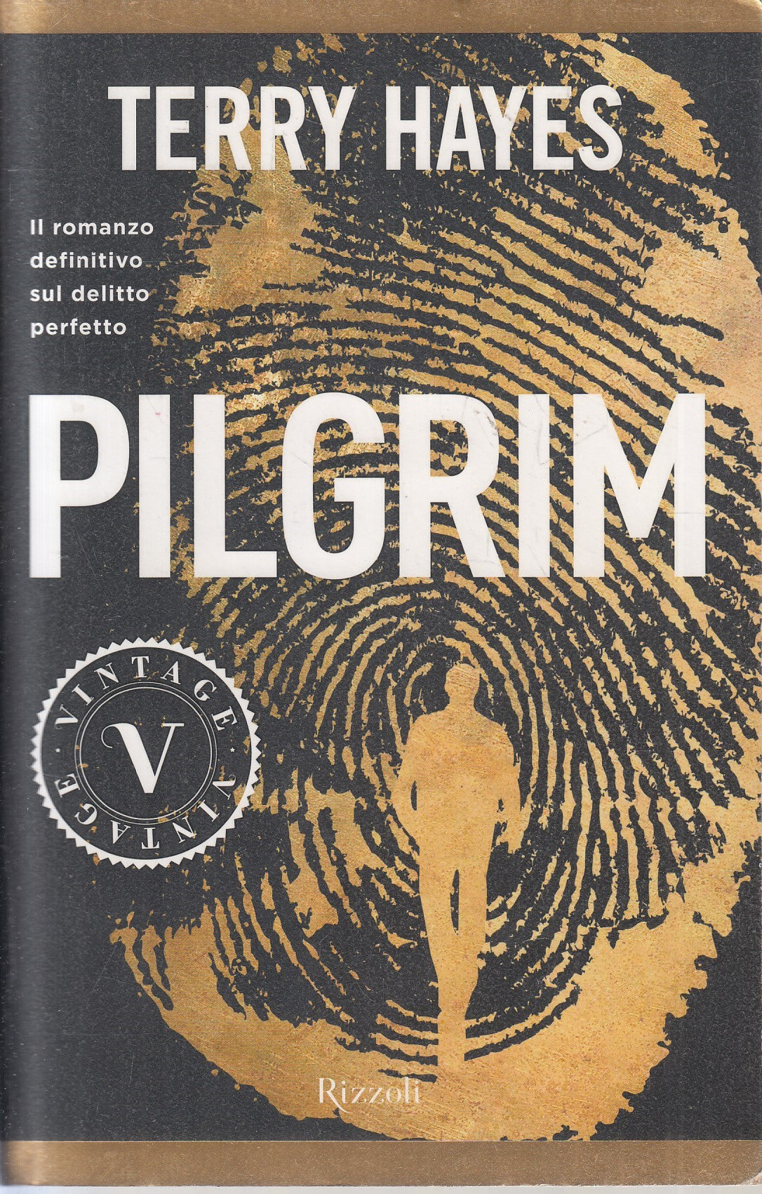LN- PILGRIM - TERRY HAYES - RIZZOLI - VINTAGE - 1a ED. - 2014 - B - YFS966