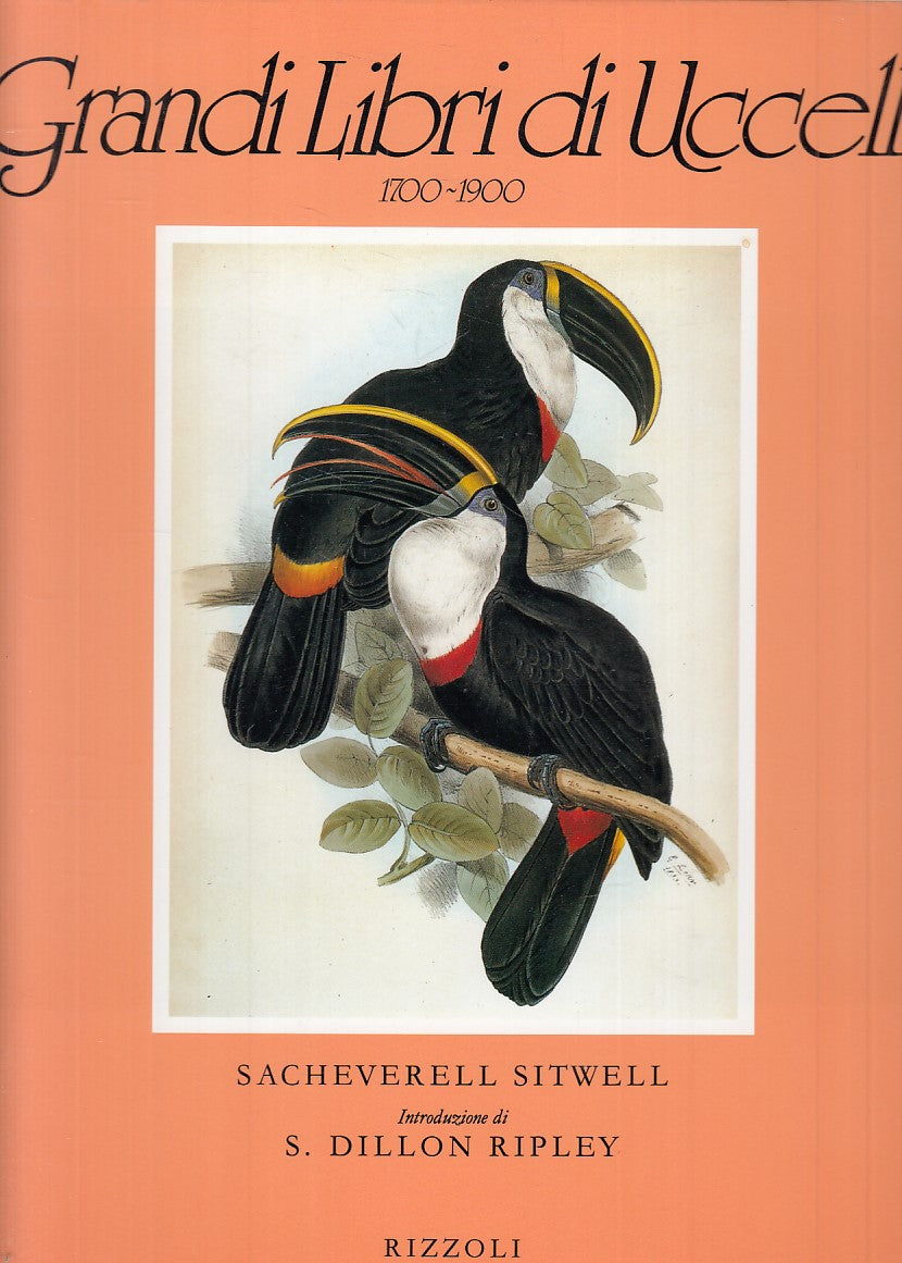 LT- GRANDI LIBRI UCCELLI 1700/1900 ILLUSTRAZIONI-- RIZZOLI--- 1990 - CS - ZFS730