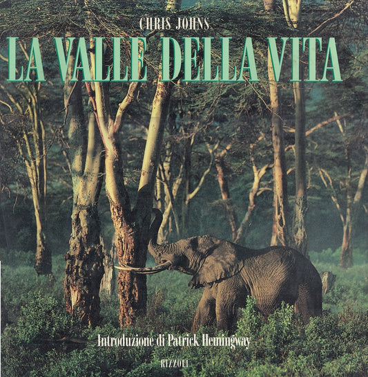 LZ- LA VALLE DELLA VITA - CHRIS JOHNS HEMINGWAY - RIZZOLI --- 1992 - CS - ZFS319