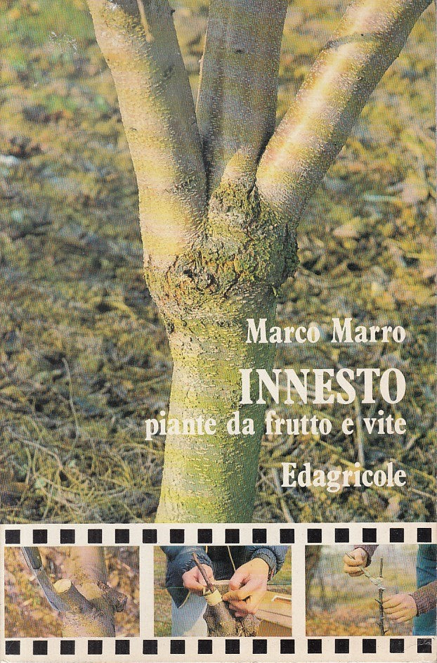 LZ- INNESTO PIANTE DA FRUTTO  E VITE - MARRO - EDAGRICOLE --- 1997 - B - YFS38