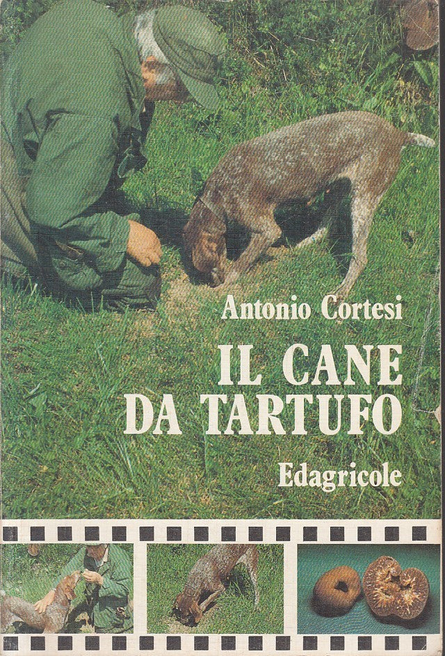 LZ- IL CANE DA TARTUFO - ANTONIO CORTESI - EDAGRICOLE --- 1996 - B - YFS334