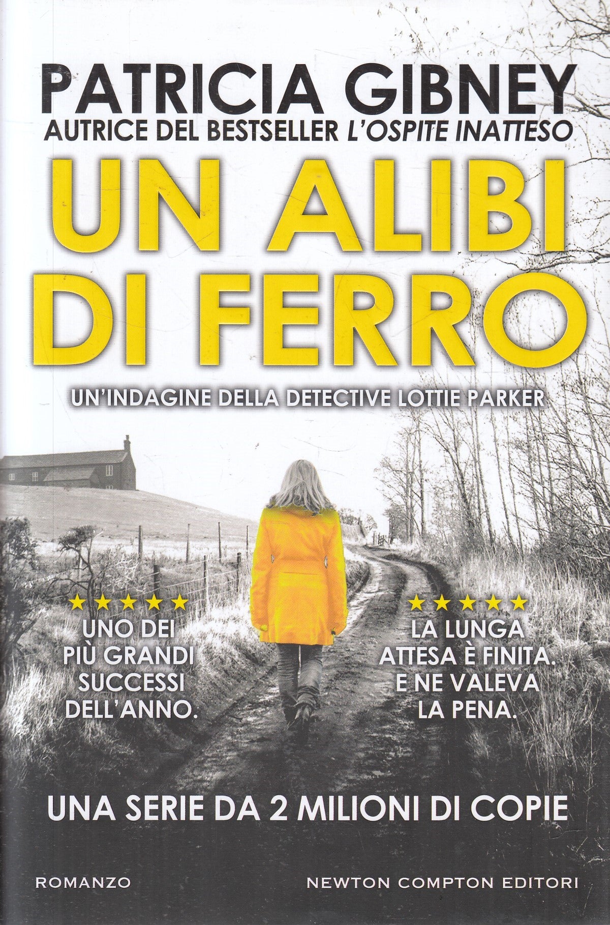 Un alibi di ferro - Patricia Gibney - Newton Nuova narrativa - JXS324
