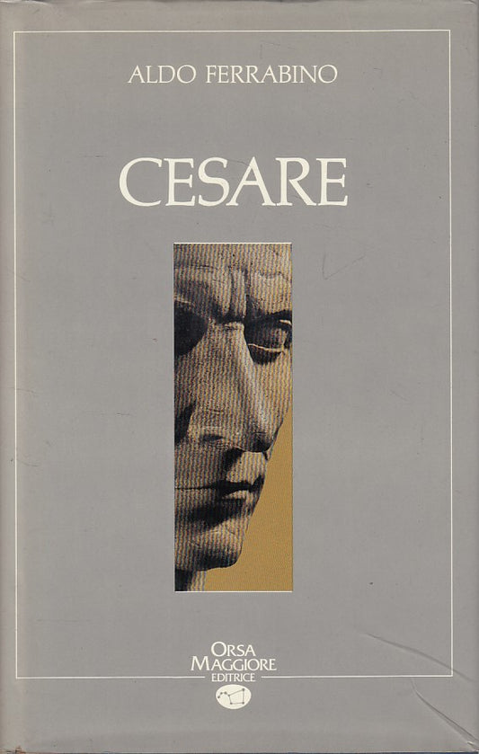 LS- CESARE - ALDO FERRABINO - ORSA MAGGIORE --- 1990 - CS - ZDS606