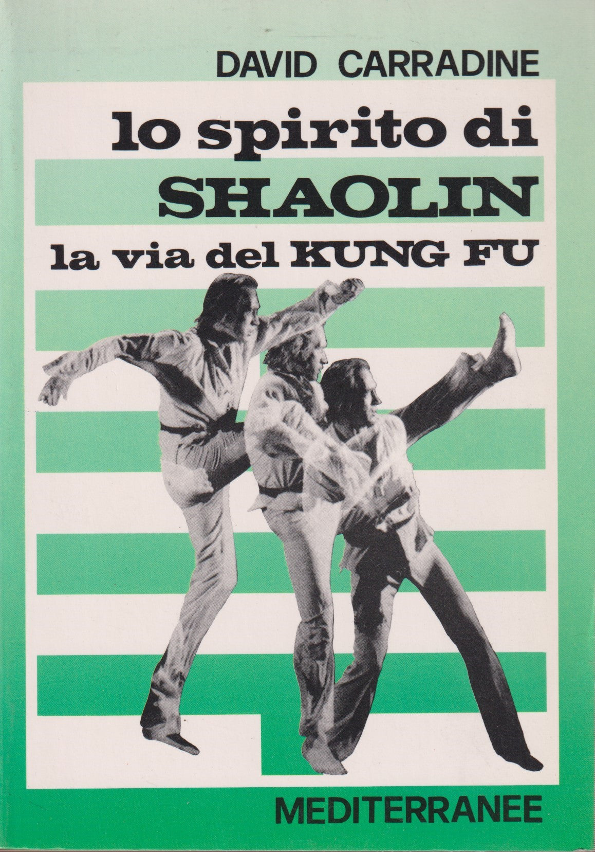 Lo spirito di Shaolin Via del Kung Fu - Carradine - Mediterranee - 1993 - ZFS132