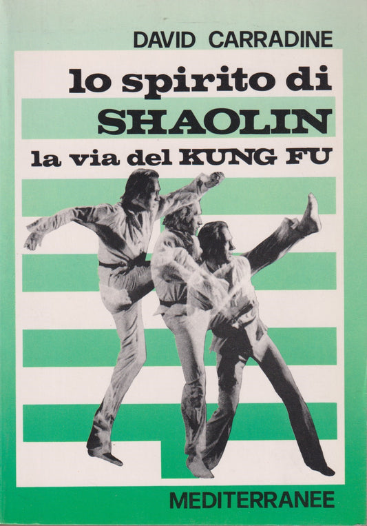 Lo spirito di Shaolin Via del Kung Fu - Carradine - Mediterranee - 1993 - ZFS132