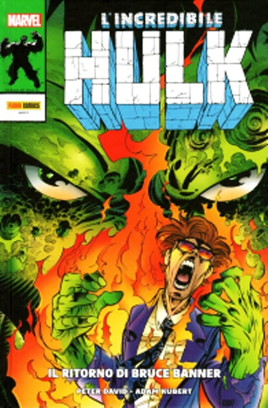 FV- L'INCREDIBILE HULK  IL RITORNO DI BRUCE BANNER CARTONATO-- PANINI- 2024- F24