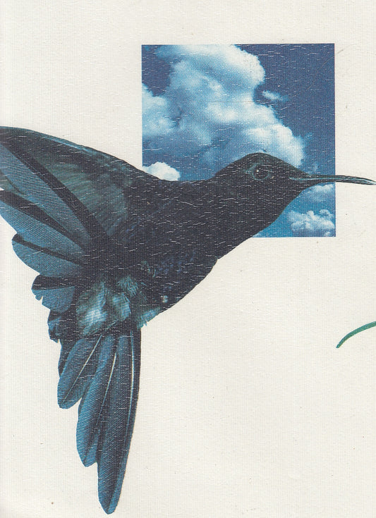 LT- L'ARIA E LA VITA UNA REALTA' DINAMICA -- MARSILIO --- 1991 - CS - YFS283