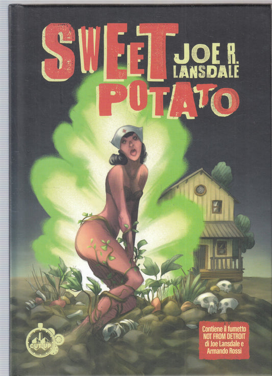 FV- SWEET POTATO - JOE R. LANSDALE - CUT UP - 2023 - C - G24