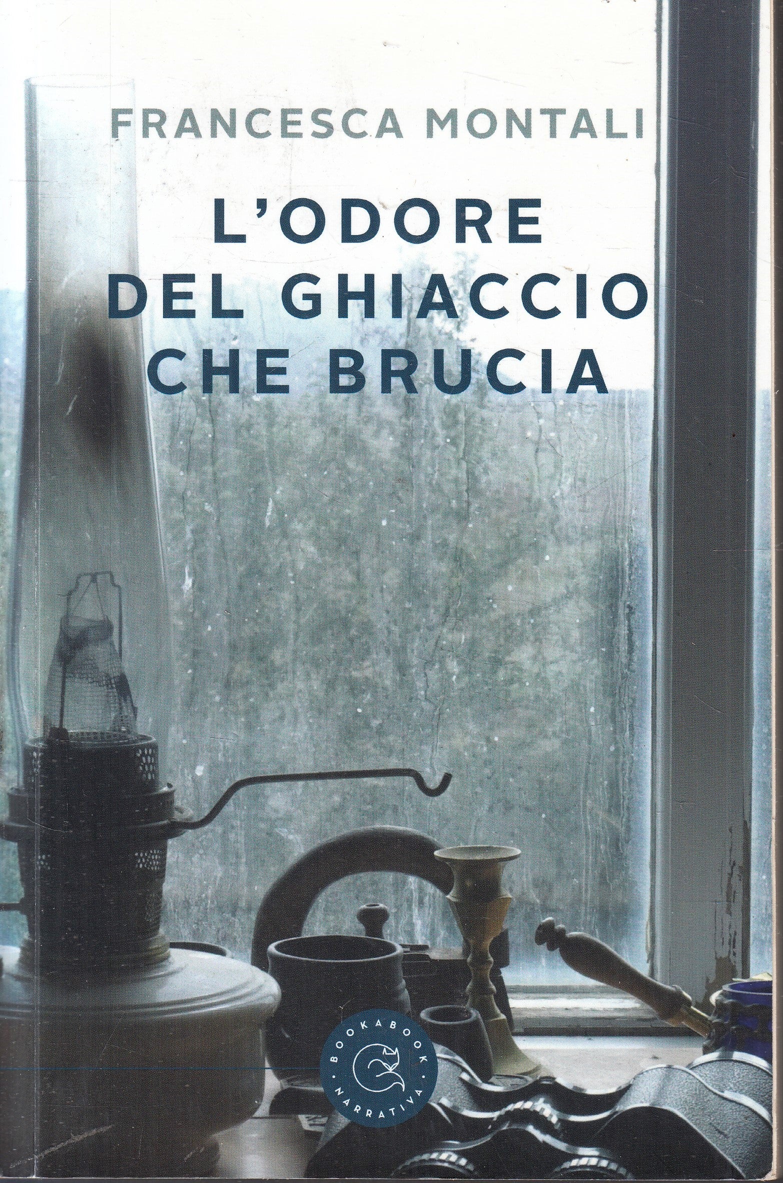 LN- L'ODORE DEL GHIACCIO CHE BRUCIA- FRANCESCA MONTALI- BOOKABOOK- 2020-B-YFS958