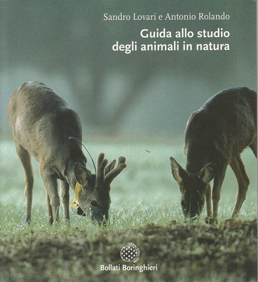 LZ- GUIDA STUDIO ANIMALI IN NATURA - LOVARI - BORINGHIERI --- 2004 - B - YDS412