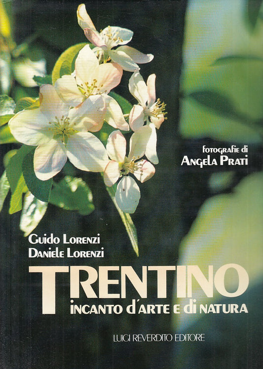 LT- TRENTINO INCANTO ARTE NATURA- LORENZI PRATI- REVERDITO--- 1987 - CS - YFS647