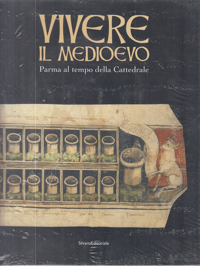 LS- VIVERE IL MEDIOEVO PARMA AL TEMPO CATTEDRALE -- SILVANA--- 2006 - B - WPR