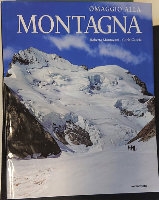 LZ- OMAGGIO ALLA MONTAGNA - ROBERTO MANTOVANI - MONDADORI --- 2008 - CS - YFS842