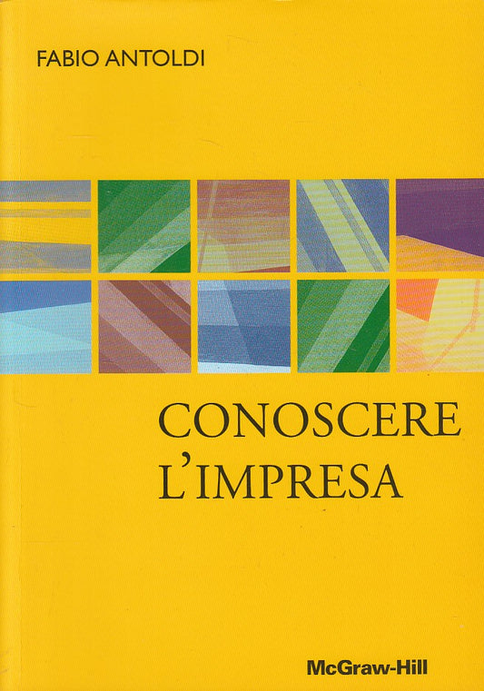 LZ- CONOSCERE L'IMPRESA - FABIO ANTOLDI - MCGRAW HILL --- 2004 - B - YDS496