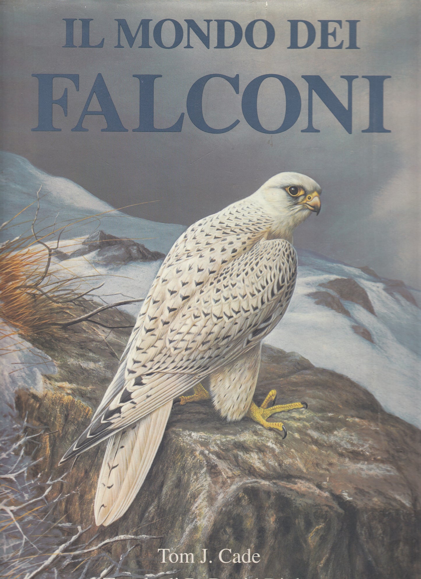 LZ- IL MONDO DEI FALCONI - CADE DIGBY - ALAUDA --- 1990 - CS - ZDS362