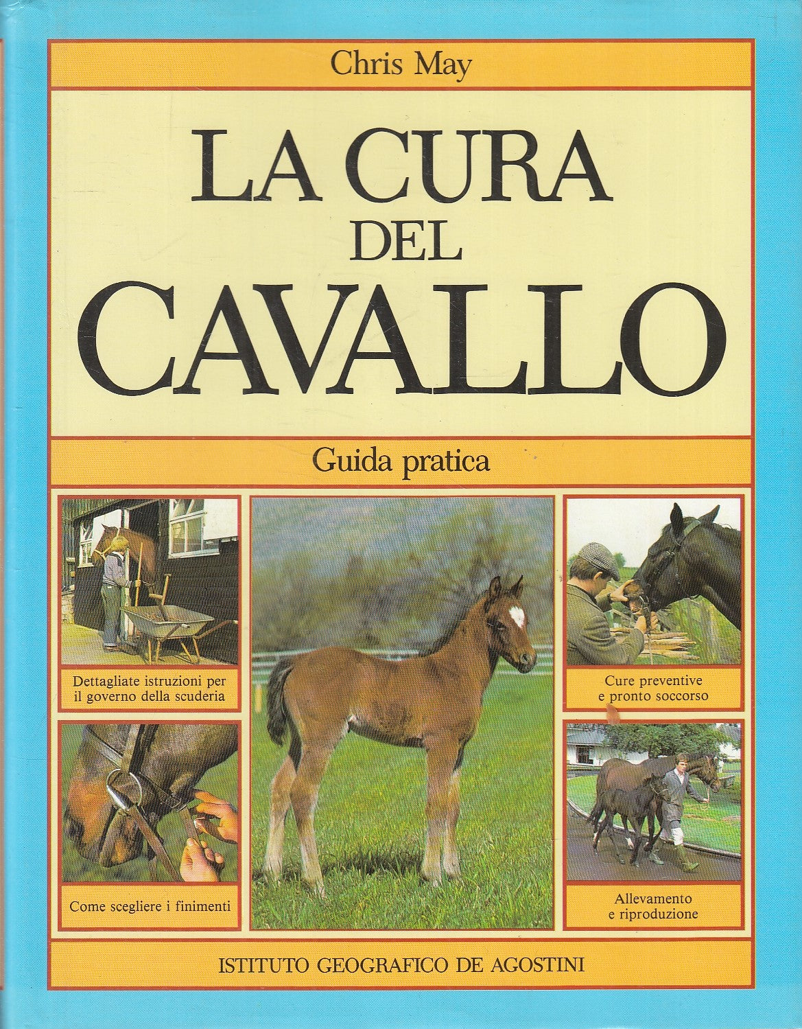 LZ- LA CURA DEL CAVALLO GUIDA PRATICA- CHRIS MAY- DE AGOSTINI--- 1988- CS-YFS140