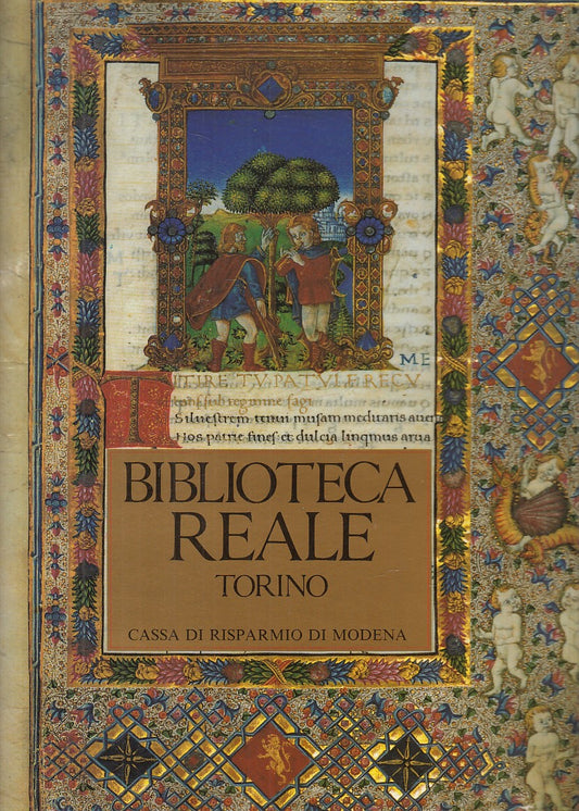 LZ- BIBLIOTECA REALE TORINO -- NARDINI - BIBLIOTECHE ITALIA-- 1990 - CS - YFS580
