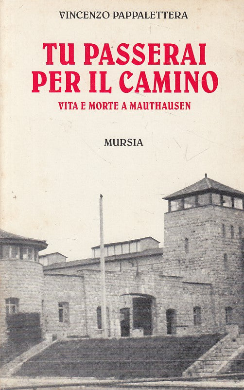 LS- TU PASSERAI PER IL CAMINO - PAPPALETTERA - MURSIA --- 1997 - B - ZFS250