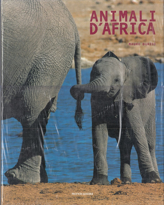 LZ- ANIMALI D'AFRICA - MAURO BURZIO - MONDADORI --- 2002 - CS - YFS796