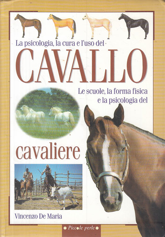 LZ- PSICOLOGIA CURA USO CAVALLO SCUOLE CAVALIERE -- DEMETRA--- 2002 - B - ZFS306