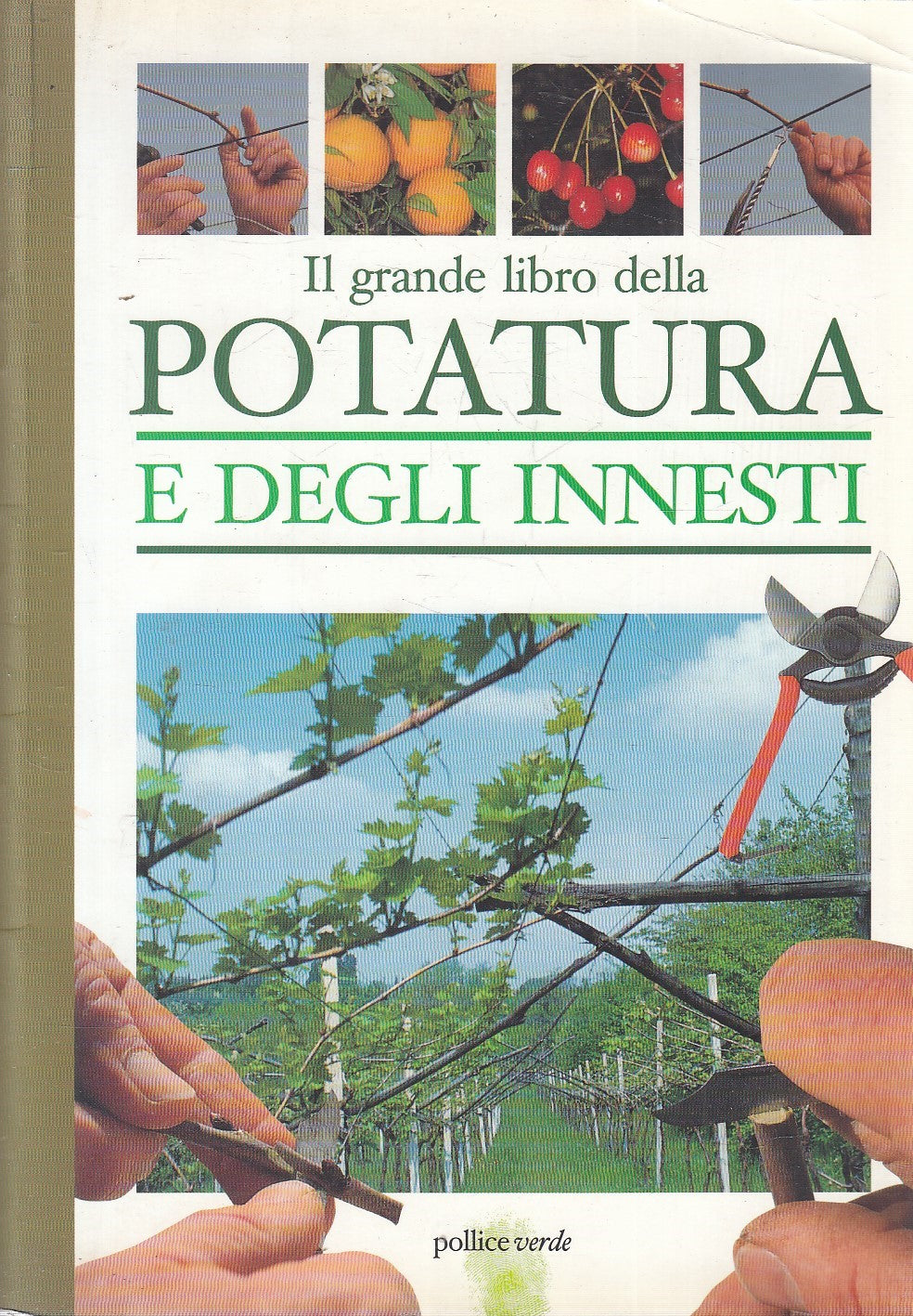 LN2- GRANDE LIBRO POTATURA E INNESTI - FABRO - DEMETRA POLLICE VERDE - B- JXS305