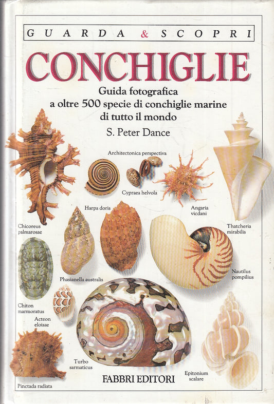 LZ- GUARDA & SCOPRI CONCHIGLIE FOTOGRAFIE- PETER DANCE- FABBRI--- 1993- C- YFS17