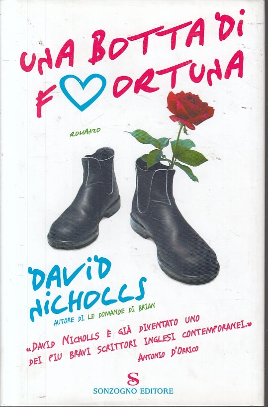 LN- UNA BOTTA DI FORTUNA - DAVID NICHOLLS - SONZOGNO --- 2007- CS- ZFS202