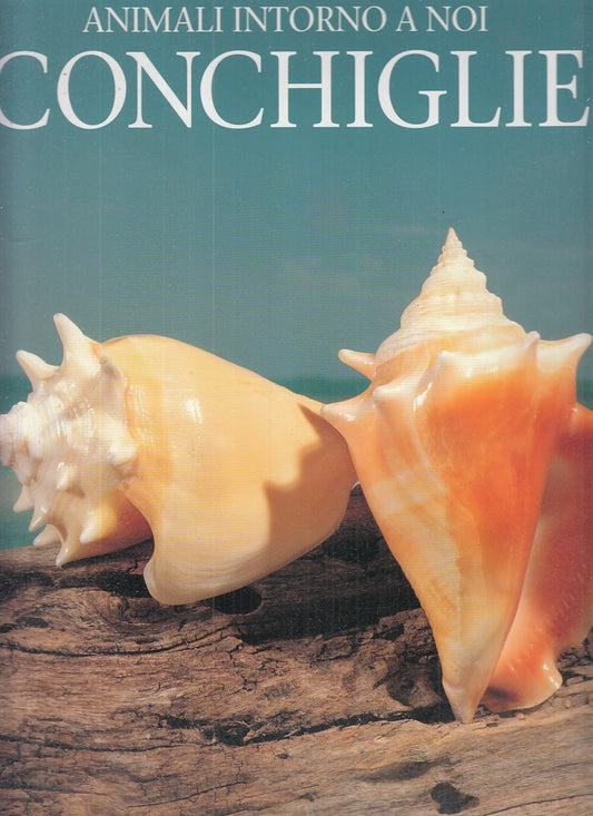 LZ- CONCHIGLIE- ANDREW CLEAVE- EDICART- ANIMALI INTORNO A NOI-- 1996- CS- YFS709