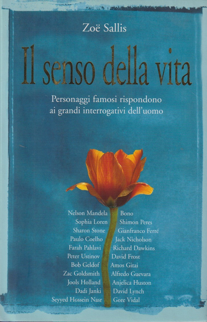 Il senso della vita Personaggi famosi rispondono - Zoe Sallis - Edicart - JXS143