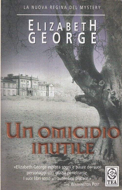 LN2- UN OMICIDIO INUTILE - ELIZABETH GEORGE - TEA ---- B - JXS16