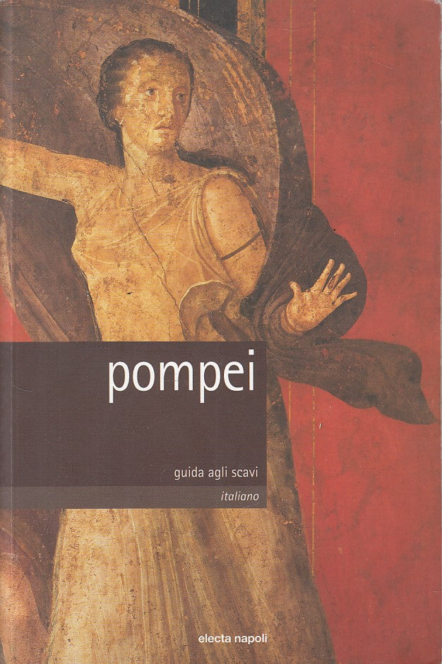 LS- POMPEI GUIDA AGLI SCAVI - GUZZO D'AMBROZIO - ELECTA --- 2002 - B - YFS598