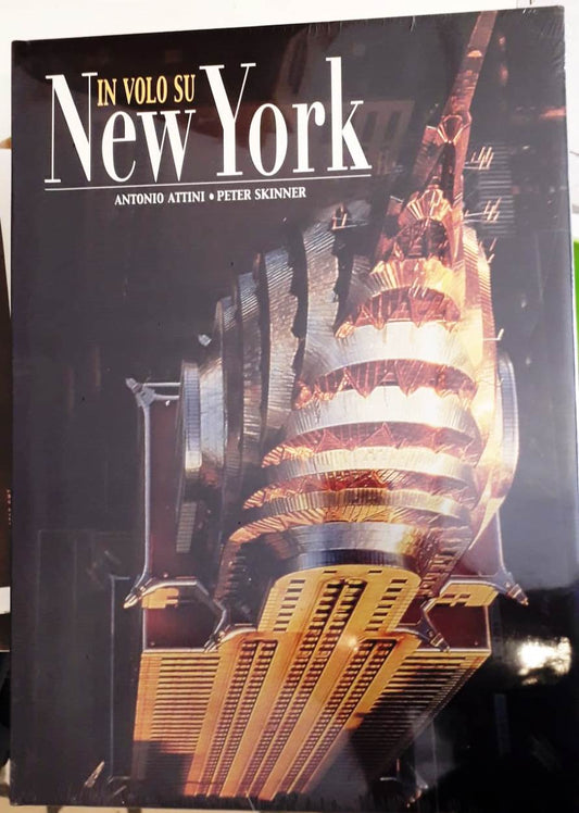 LV- IN VOLO SU NEW YORK - ATTINI SKINNER - WHITE STAR --- 2012 - CS - ZFS