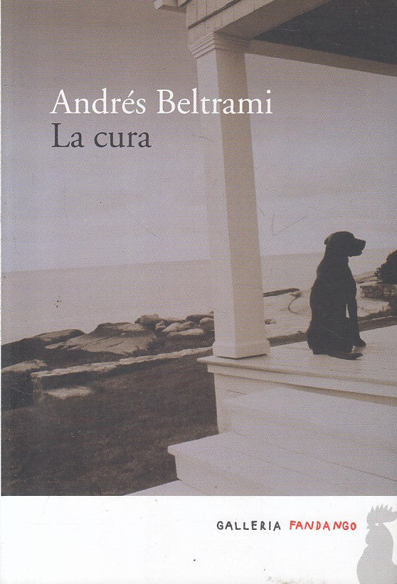 La cura - Andres Beltrami - Fandango Galleria - 1a ed. - ZFS246