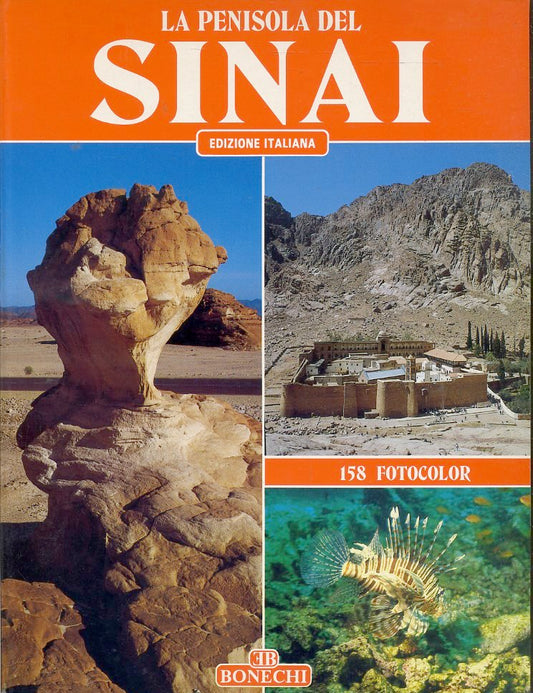 LV- GUIDA LA PENISOLA DEL SINAI 158 FOTOCOLOR - MAGI- BONECHI--- 1993- B- YFS618