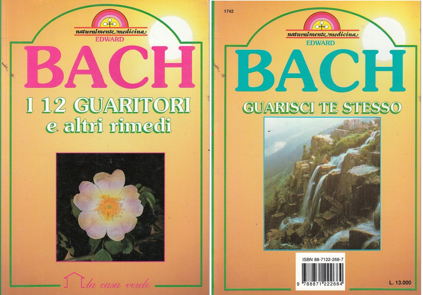 LZ- BACH 12 GUARITORI RIMEDI GUARISCI TE STESSO -- DEMETRA --- 1991 - B - YFS187