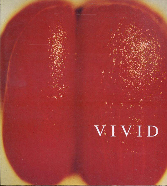 LT- VIVID INTENSE IMAGE BY AMERICAN PHOTOGRAPHERS -- MOTTA --- 1993 - B- YFS641
