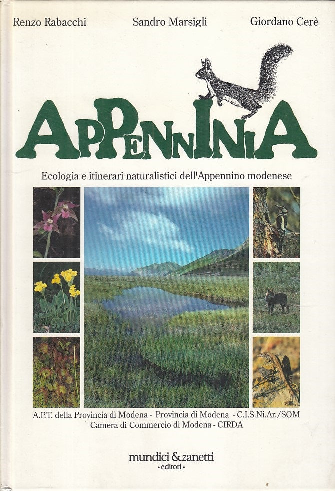 LZ- APPENNINIA ECOLOGIA ITINERARI APPENNINO MODENESE-- MUNDICI--- 1991 - C - WPR