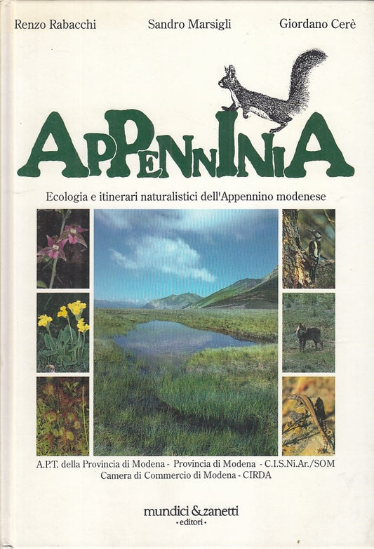 LZ- APPENNINIA ECOLOGIA ITINERARI APPENNINO MODENESE-- MUNDICI--- 1991 - C - WPR