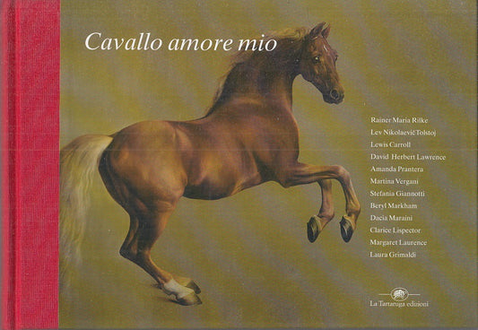 LN - CAVALLO AMORE MIO -- LA TARTARUGA --- 2002 - C - YFS746