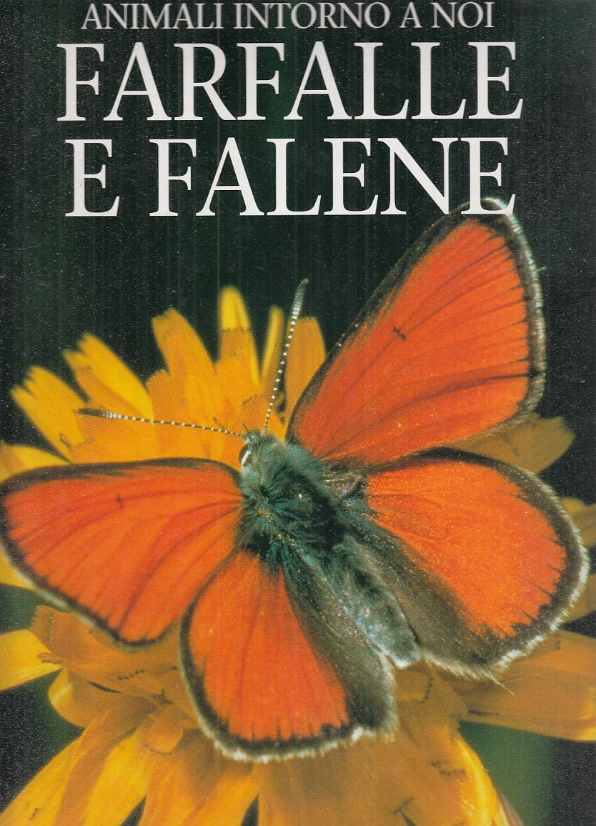 LZ- FARFALLE E FALENE - PAUL STERRY - EDICART --- 1995 - CS - ZFS372