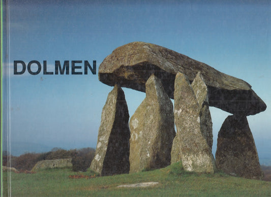 LZ- DOLMEN - MIRELLA CIPOLLONI SAMPO' - DE LUCA --- 1990 - C - YFS147