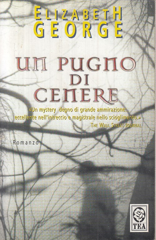 LN2- UN PUGNO DI CENERE - ELIZABETH GEORGE - TEADUE ---- B - JXS14