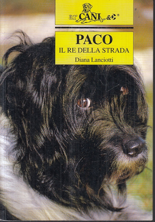 PACO IL RE DELLA STRADA - DIANA LANCIOTTI - ARCANI --- 1997 - B - ZFS640