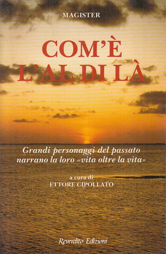 LS- COM'E' L'AL DI LA' VITA OLTRE LA VITA -- REVERDITO --- 1995 - B - YFS35