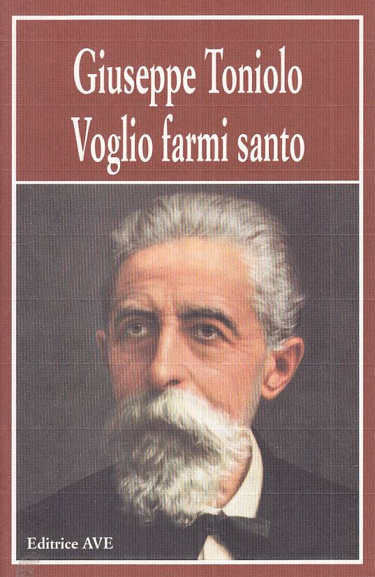 LS- VOGLIO FARMI SANTO DIARIO SPIRITUALE - TONIOLO - AVE --- 1995 - B - ZTS458