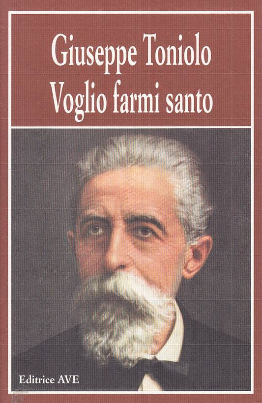 LS- VOGLIO FARMI SANTO DIARIO SPIRITUALE - TONIOLO - AVE --- 1995 - B - ZTS458
